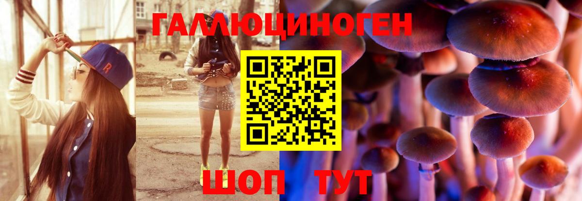 Каспийск  Псилоцибиновые грибы GOLDEN TEACHER  Псилоцибиновые грибы GOLDEN TEACHER  Вход с VPN 